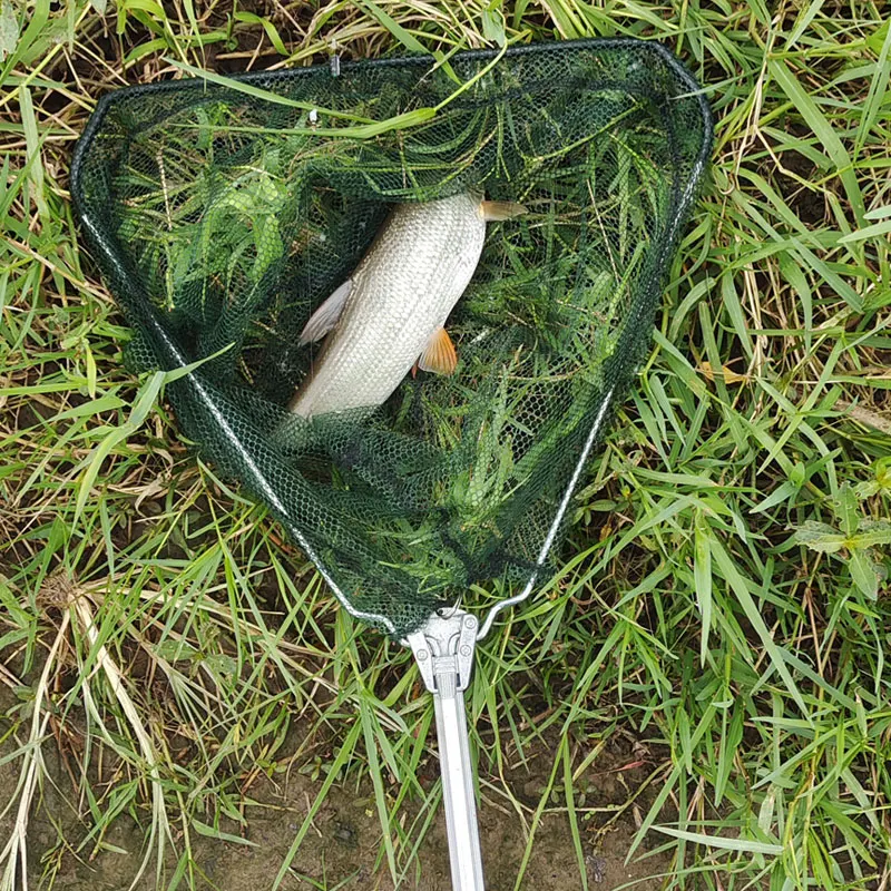 Filet pêche télescopique 190cm aluminium - Épuisette pliable pour carpes et pêche à la mouche légère