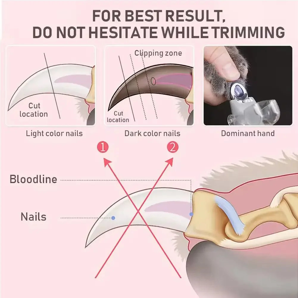 Professional Pet Nail Clipper Scissors With LED Light Cat Dog Nail Clippers Tool Scissors Toeclaw Cutter Pet Suppl