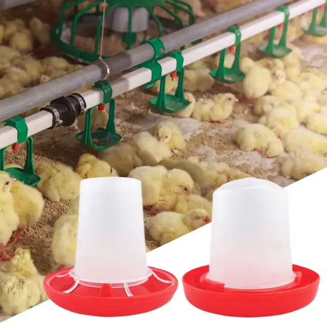 Mangeoire Et Abreuvoir Combo Pour Volaille – Pour Poussins, Poules – Plastique Résistant – Remplissage Facile