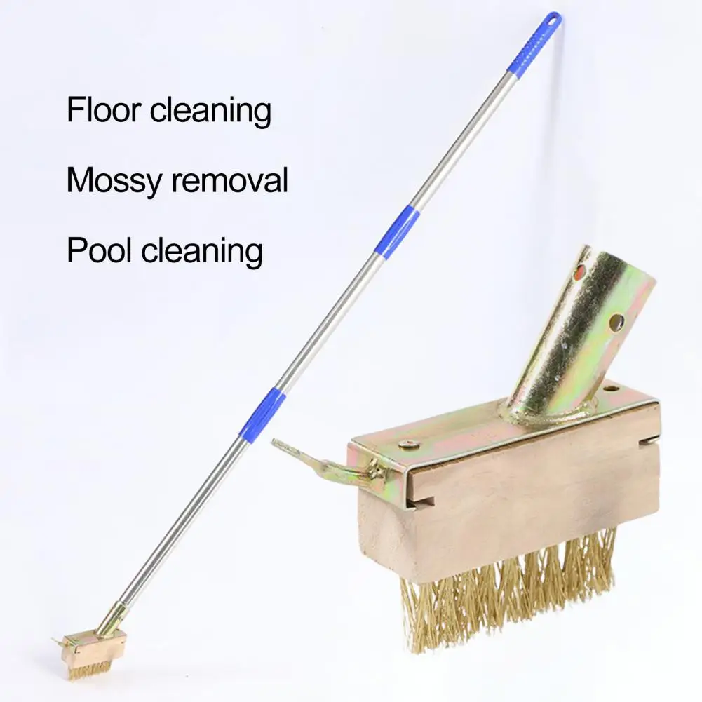 Metal Tip Weeder Brass Wire Bristle Crevice Weeding Brush Head for Block Paving Patio Stone Edging 2-in-1 Weed Moss for Weeder