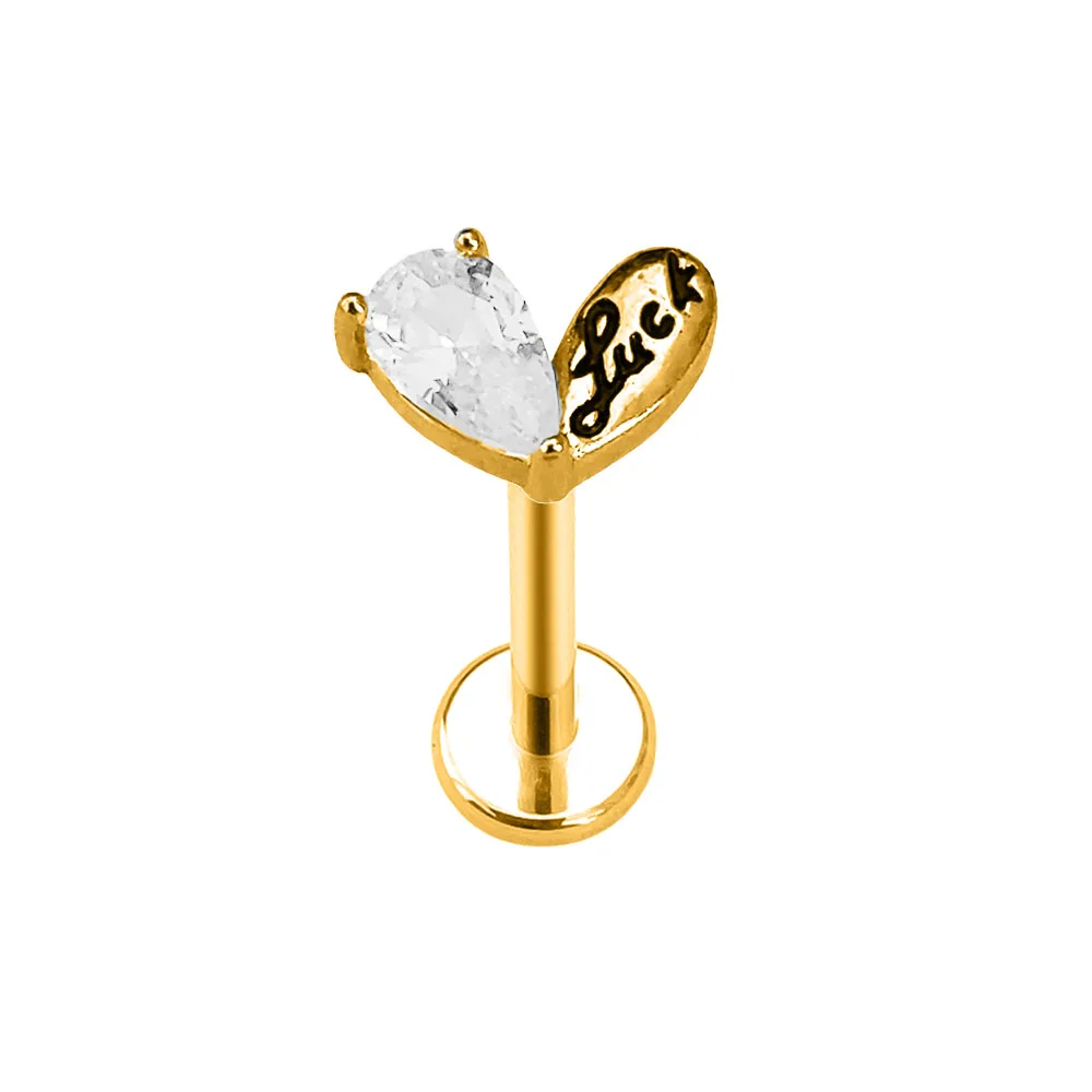 Heart Bird Flower Butterfly Labret Piercing Eye Shape Daith Conch Earring Teardrop CZ Lip Stud 316L Surgical Steel 16G