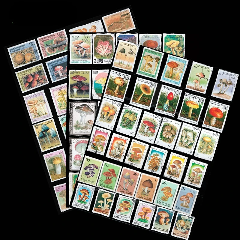 50 Pcs Different Mushroom Stamps From Word, No Repeat, Real Original