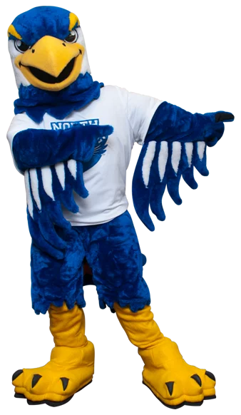 Blue Eagle Mascot Costume
