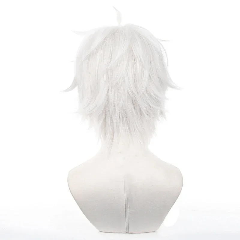 Synthetic Hair Anime Seishiro Nagi Cosplay Wigs Silver White 30cm Short Warping Heat Resistant Man Wig - 4