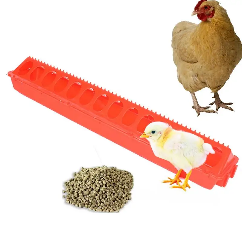 

Feed Trough | Spliceable Poultry Feeding Equipment | Top Poultry Feeder Trough Quail Feeder No Mess No Waste for Quail Parrot