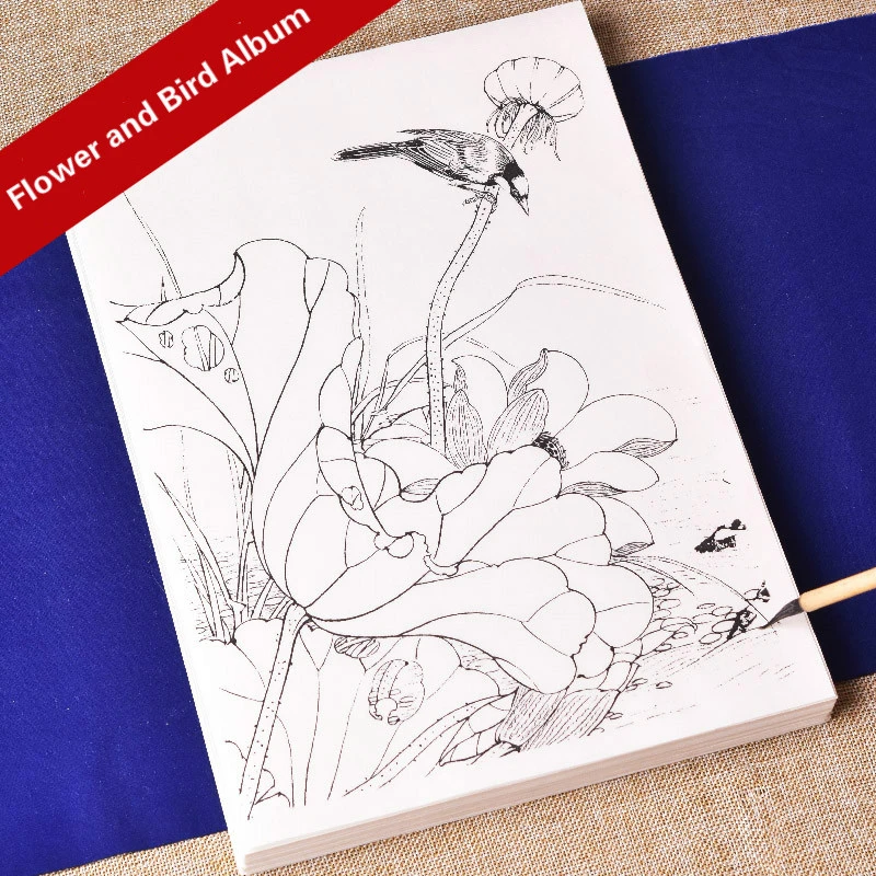 Line Drawing Rice Paper Flower Bird Book Tracing Drawing Manuscript Ripe Xuan Paper Drawing Beginner Watercolor Chinese Painting