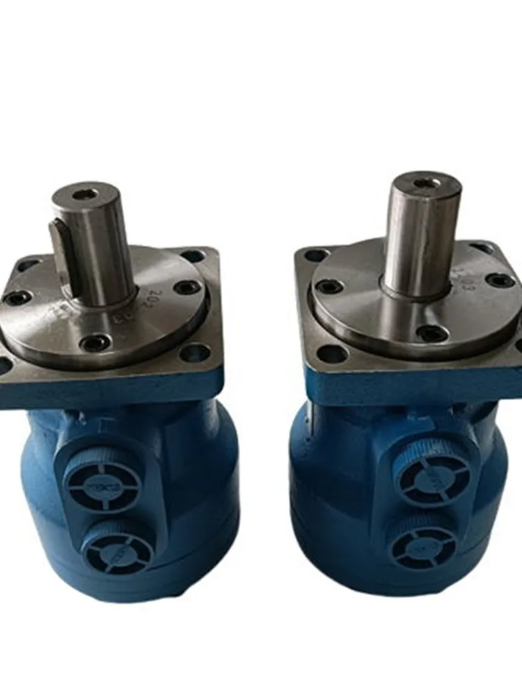 

BM1 Cycloid Hydraulic Motor BM1-50/63/80/100/160/200/250/315/400/500