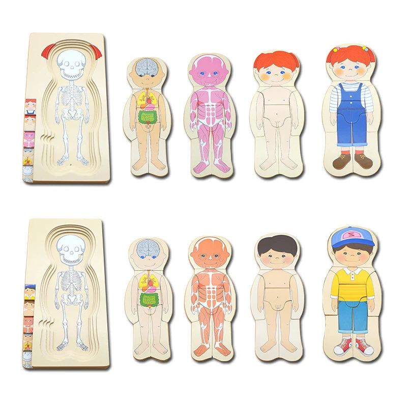 Montessori Wooden Multi-layer Puzzle Human Body Jigsaw Game Boys Girls Body Structure Early Educational Toys For Children Kids 4