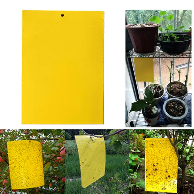 50Db Repülõ Rovarfogó Vezérlőmatrica Biztonságos Nem Mérgező Kártevőirtó Ragadós Csapdák Vízálló Kültéri Beltéri Növényekhez