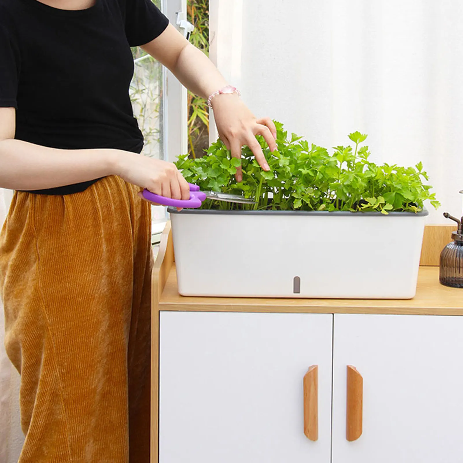 Self-Watering Indoor Planter Pots with Built-In Water Level Indicator