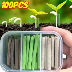 Plant Nutrition Bars for Healthy Plant Growth - Premium Compound Fertilizer with Essential Nutrients
