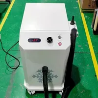 Dispositif de refroidissement de la peau pour thérapie cryogénique verticale, refroidisseur d'air froid Zimmer, Machine de soulagement de la douleur, évitement des blessures thermiques 3