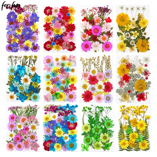 DIY Dried Flowers For Resin Mold Making Aromatherapy Candle Real Flower for  Resin Fillings Nail Art Home Craft Resin Casting - AliExpress