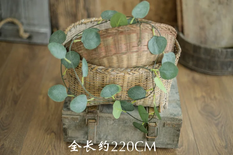 Newborn Photography Prop Basket Stuffer Simulated Green Plants Accessorie Christmas Daisy Rattan Strip Vine Studio Shooting Flow cheap newborn photography near me