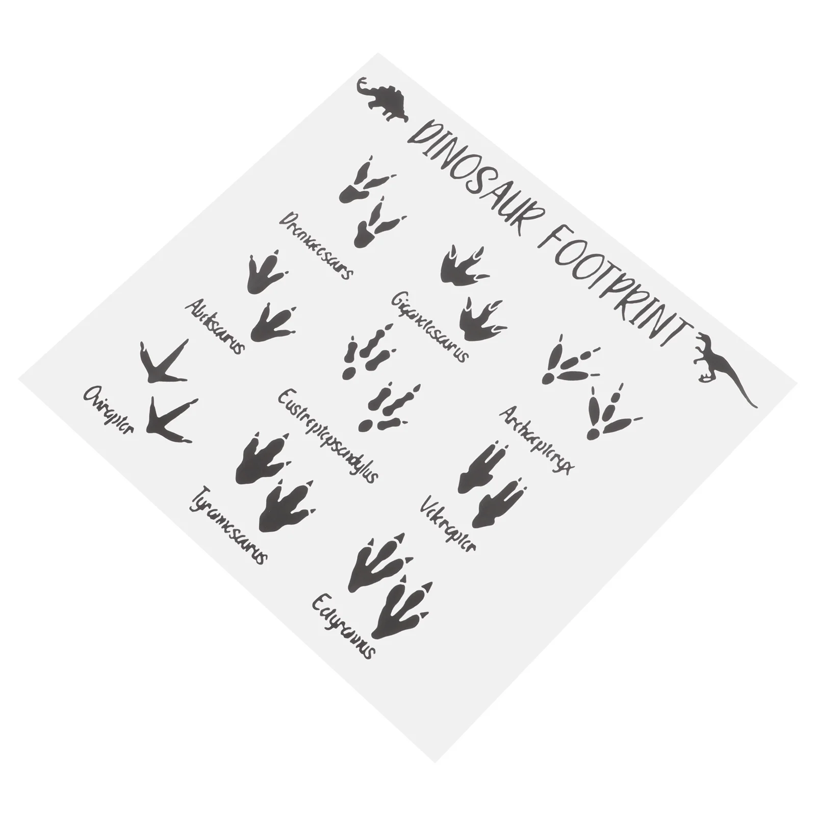 

Dinosaur Footprints Wall Sticker Adhesive Dinosaur Footprint Decal for Children Room