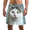 3d Print Funny Cat Beach Shorts For Men Quick Dry Swim Trunks Summer Drawstring Cool Vacation Surf Board Shorts Men Clothing 1