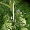 13/16CM Tomato Support J Hooks Plant Support Vegetable Clips To Prevent Tomatoes Fruit Cluster From Pinching or Falling Off 1