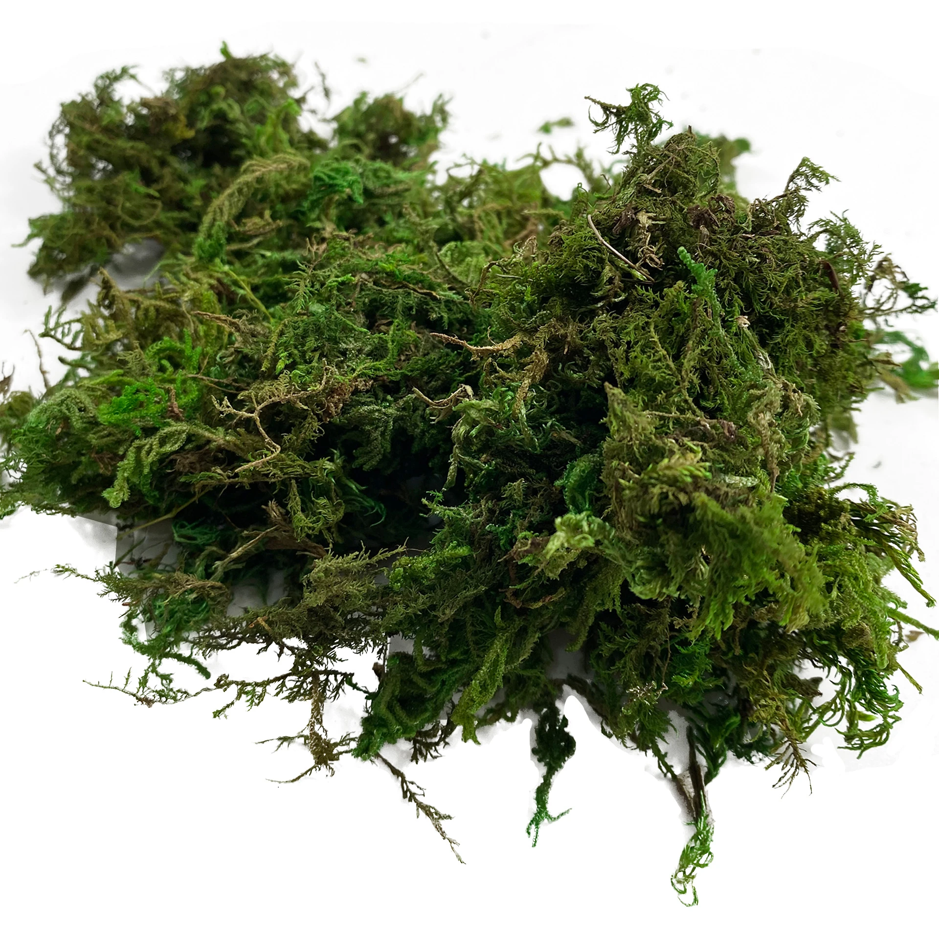 Fake Moss Artificial Moss For Potted Plants Home Decor Fairy Garden