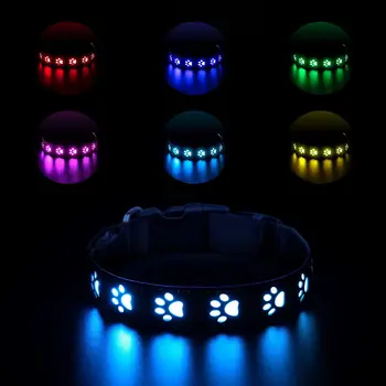 Rechargeable LED Dog Collar 1