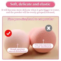 8Pcs Makeup Sponge Powder Puff Dry and Wet Combined Beauty Cosmetic Ball Powder Puff Bevel Cut Make Up Sponge Foundation Tools 4