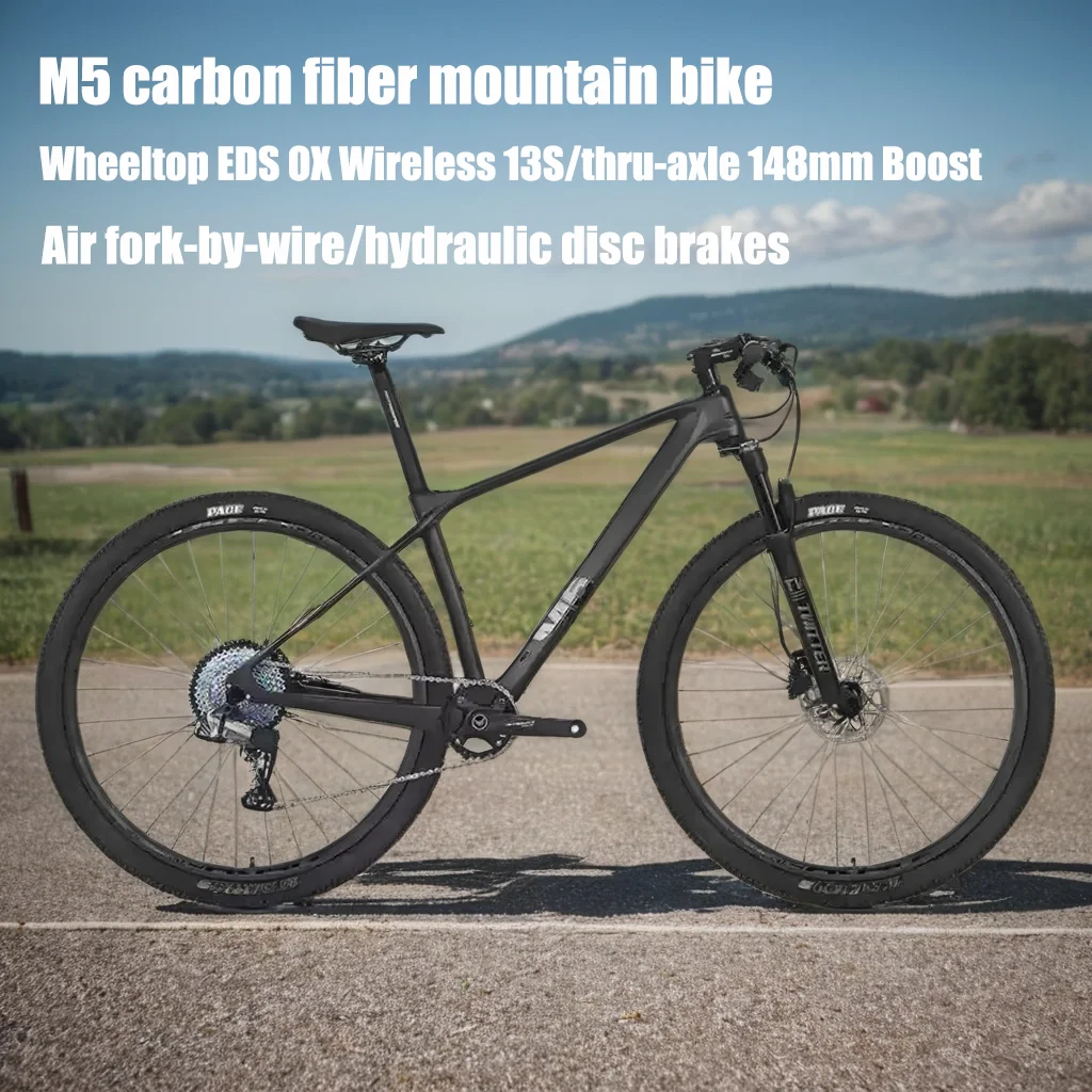 TWITTER M5 Carbon Fiber Mountain Bike 29 Inch MTB Wheeltop