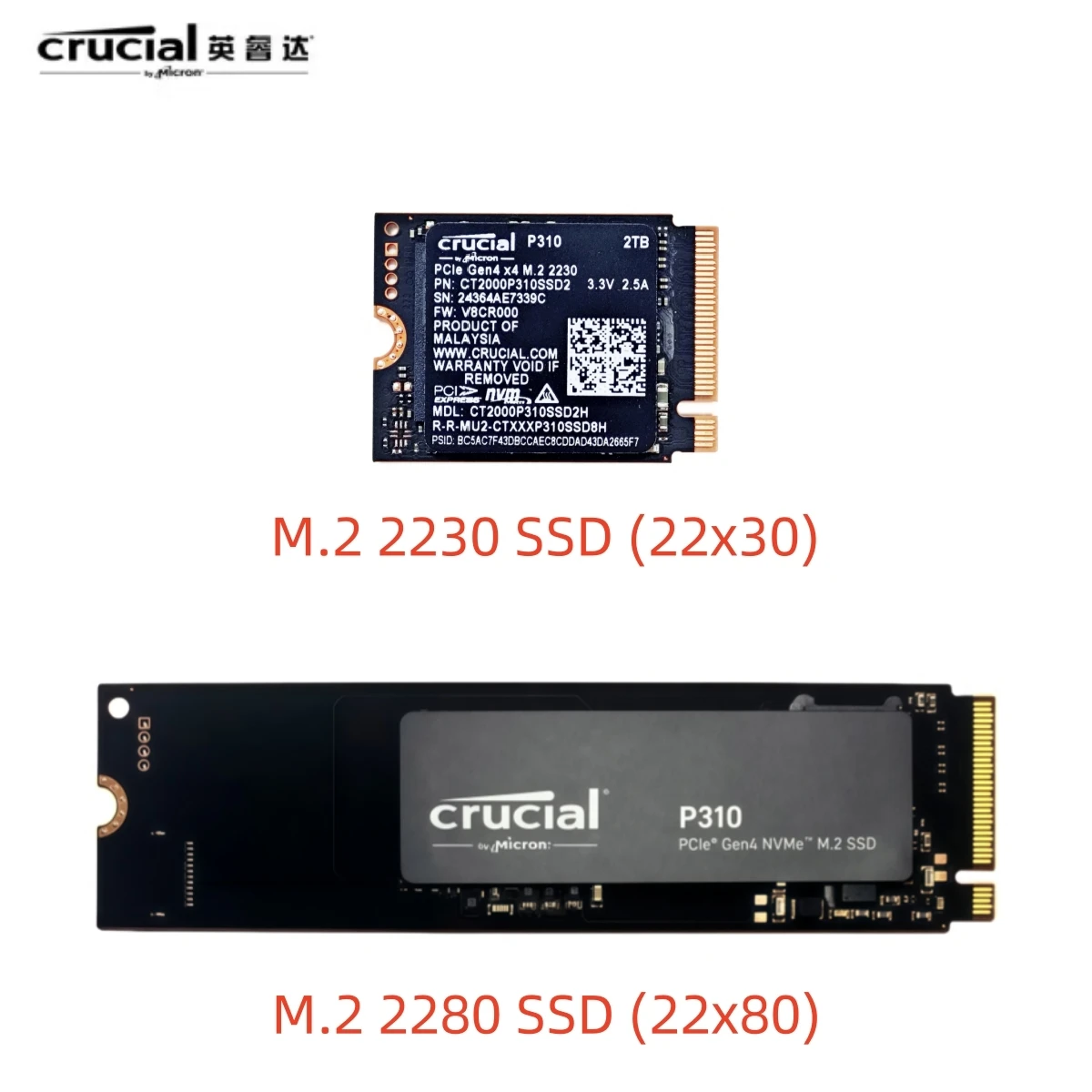 2個セット 1TB Gen4 M.2 2230 SSD Lexar PLAY 1TB Gen4 M 2 2230 SSD R 5200MB&frasl;s W 4700MB&frasl;s Lexar レキサー PLAY