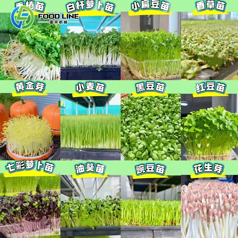 รูปสินค้า ระบบเกษตรอัตโนมัติในเมือง ปลูกผักได้ทุกที่