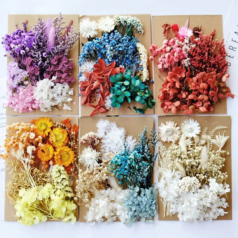 1bag Preserved Flower Dried Flowers for Epoxy Resin Mold for DIY