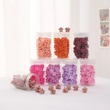 

40Pcs Small Hairpins Girls Cute Hair Claws Butterfly Shells Shape Hair Clips Hair Accessories Kids Candy Color Sweet Headwear