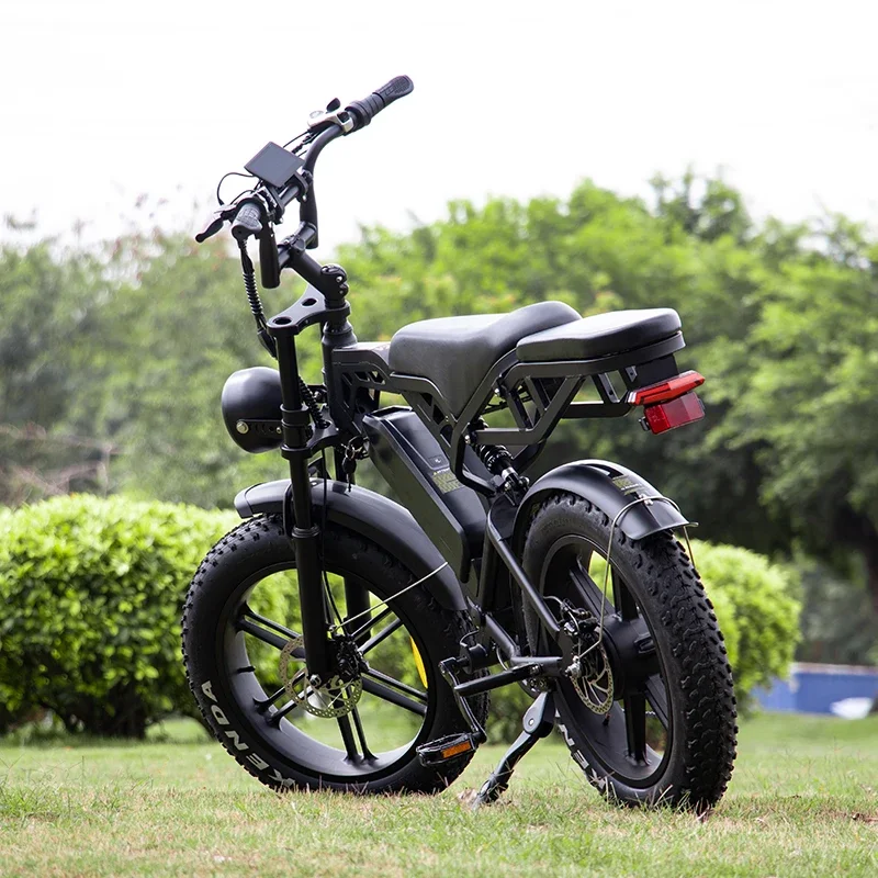 Electric Bike V20PRO1000W48V15AH for Off-Road Riding