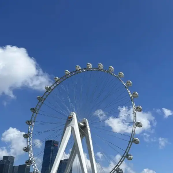 Muleya Accessory Store