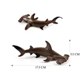 Hammerhead shark-2