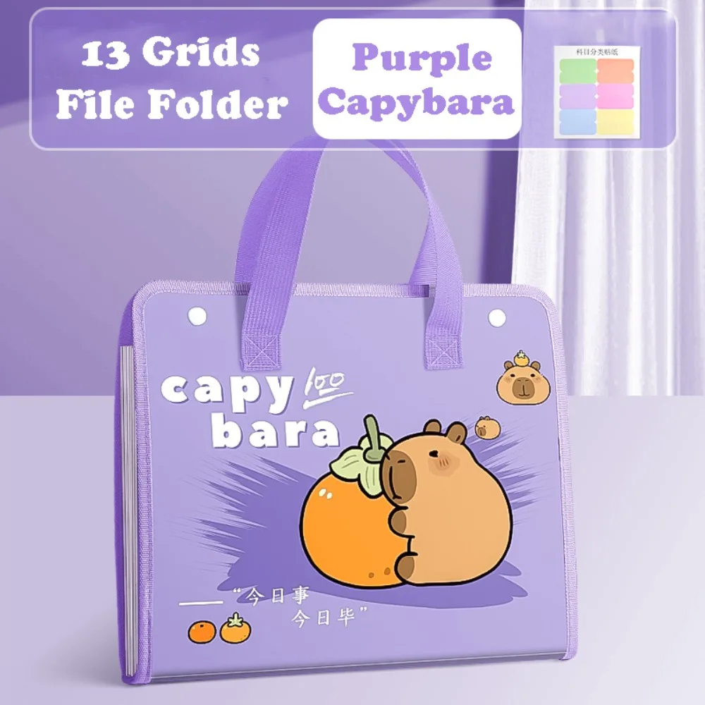 Cute Capybara A4 File Folder 13 Pockets Large Capacity File Organizer ...