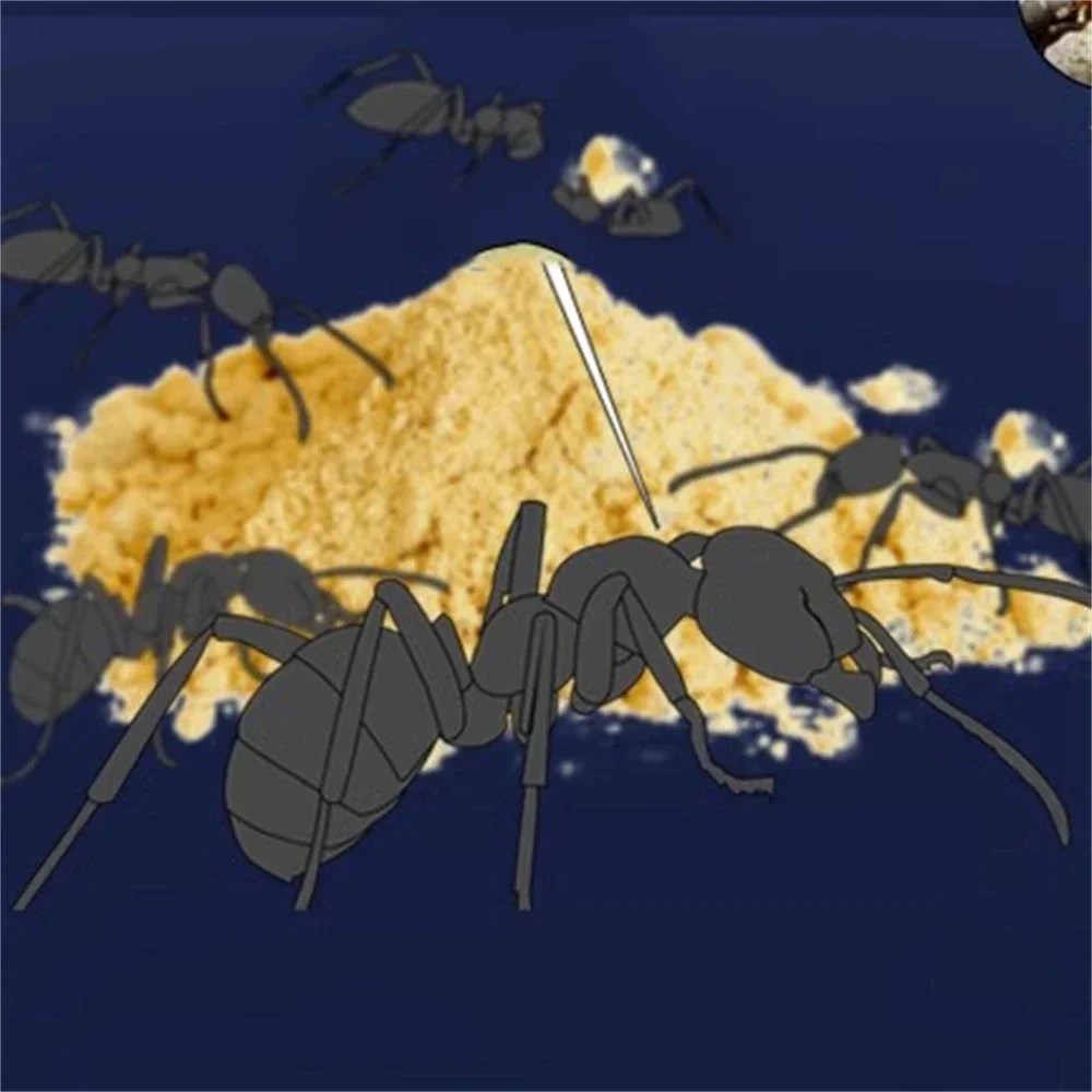 20 Pieces ant bait powder kill ants termites nest