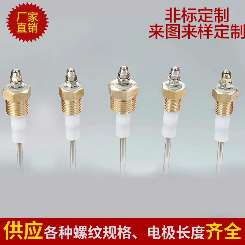 Boiler water level electrode water level probe probe electrode rod sensor