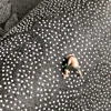 Light Luxury Cloakroom Non-slip Mat Large Area Carpets for Living Room Simple Bedroom Decor Cream Color Carpet Home Study Rug 6