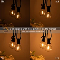 G40 ในร่มกลางแจ้ง String Light E12 ซ็อกเก็ต EU ปลั๊ก 220V เชื่อมต่อหรี่แสงได้ Vintage Fairy Light สําหรับ Backyard Patio Decor 5