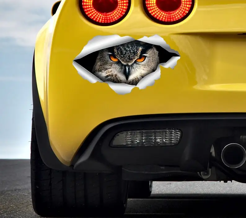 Gufo Car Sticker Horned Owl Car Angry Owl Sticker Birds Decal Gufo Sticker Gufo Auto Stickers Funny Decal 3D Auto Sticker 308