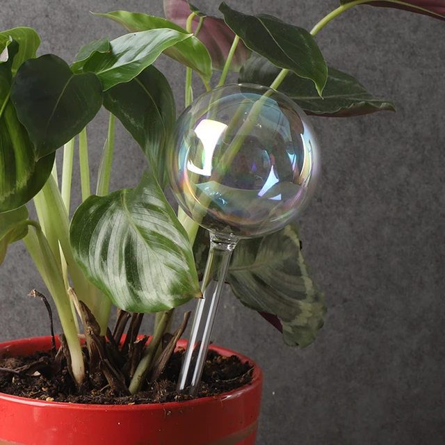2 Pcs Self Watering Bulbs Automatic Plant Watering Globes Slightly Iridescent Rainbow Gradient Clear Glass Self Watering System 4
