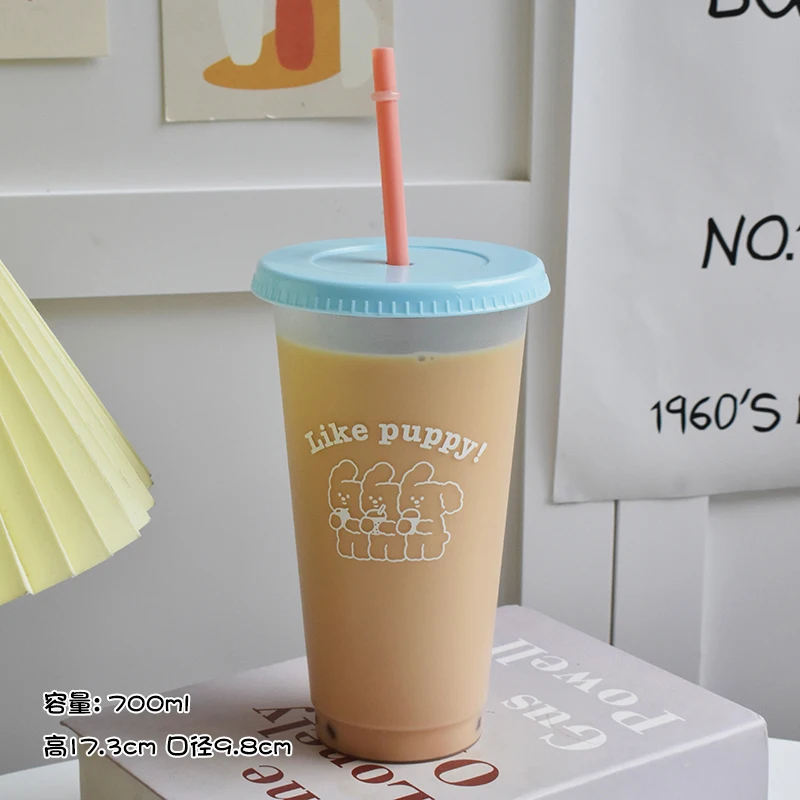 Reusable Iced Cold Coffee Cup Kawaii Water Bottle For Coffee Juice Milk Tea  Reusable Drinking Bottle Portable Bottle With Straw - AliExpress