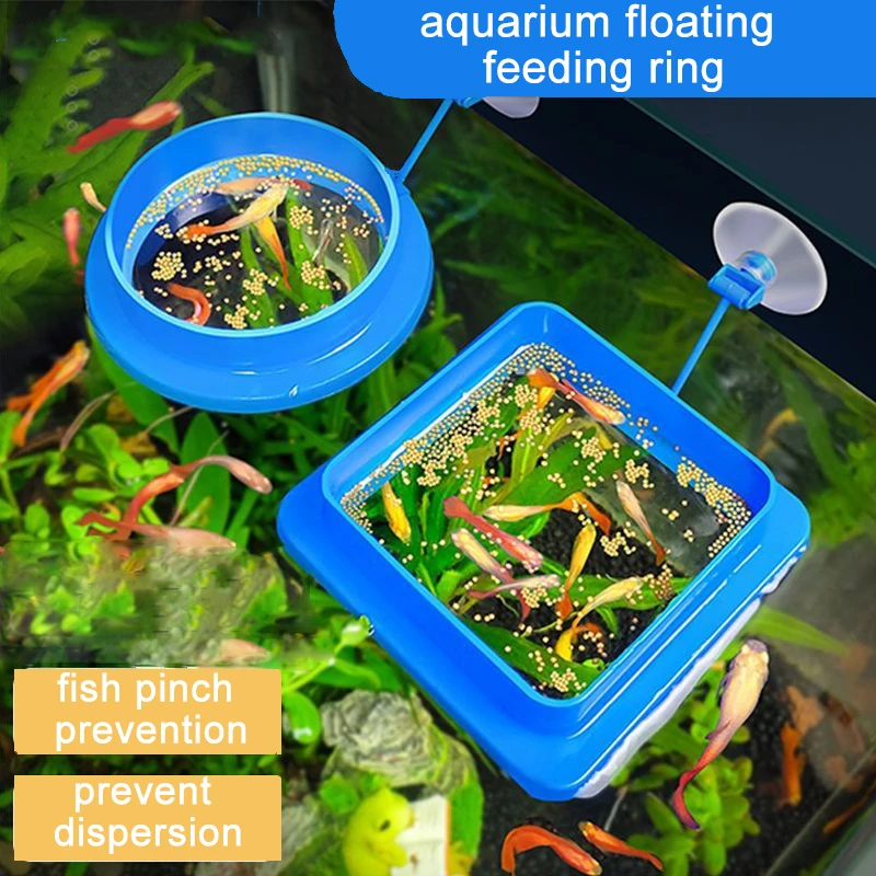 Aquarium Fish Feeding Ring Fish Tank Blue Floating Station Food Tray Feeder Prevent Food Dispersion Fish Pinch with Suction Cup Aquarium Fish Feeding Ring Fish Tank Blue Floating Station Food Tray Feeder Prevent Food Dispersion Fish Pinch with Suction Cup