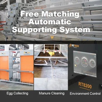 A Type Battery Layer Chicken Cages Automatic Egg Poultry Farming Equipment System 4