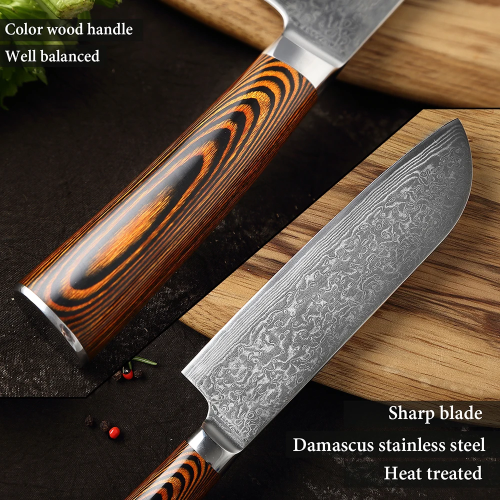Damascus Steel Breaking Knife Butcher Knife Japanese VG10 Super Steel Full  Tang & Razor Sharp Kitchen Knife for Meat hams - AliExpress