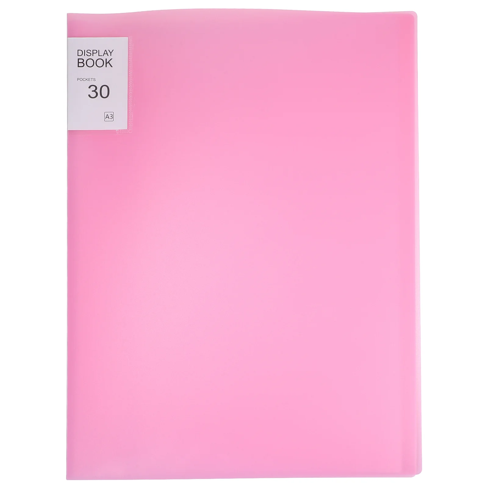 

30 Pages Plastic Binder Sleeves Folder Posters Poster Storage Portfolio Case for Artwork Painting Book