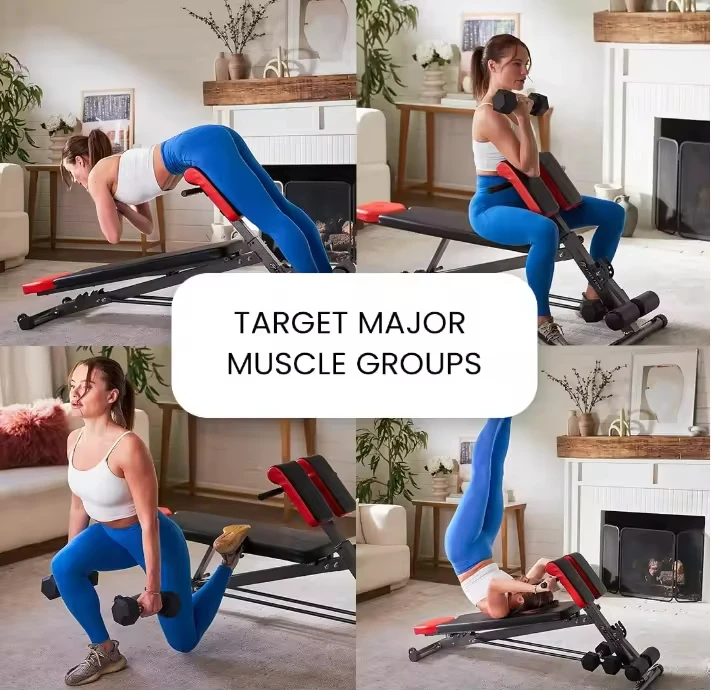 Fitness Equipment 3 in 1 Workout Bench Weight Bench and Sit up Press Roman Chair Exercise Sit up Adjusts to Decline