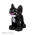 Little black cat