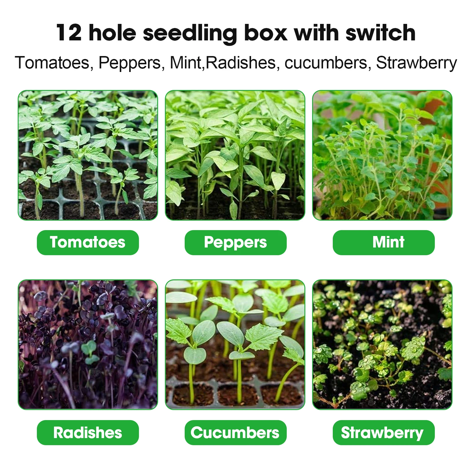 Greenhouse Grow Trays 12 Humidity Adjustable Plant Starting Kit with Dome and Base Mini Propagator for Seeds Growing large ceramic pots