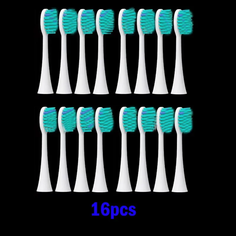 16P P4