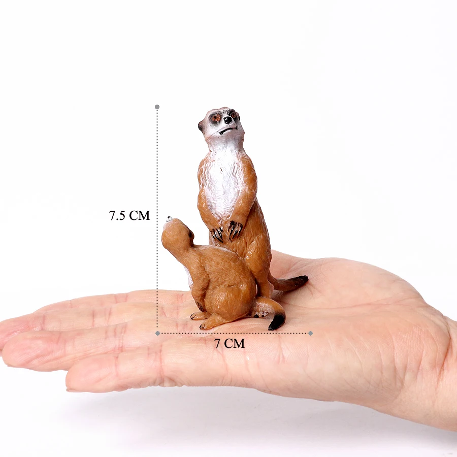 Meerkat-1