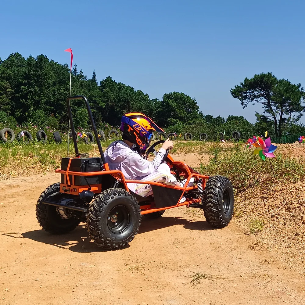 1000W48V20AH Electric Go-cart for Kids and Adult Top Speed 35km/h